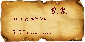 Billig Nóra névjegykártya